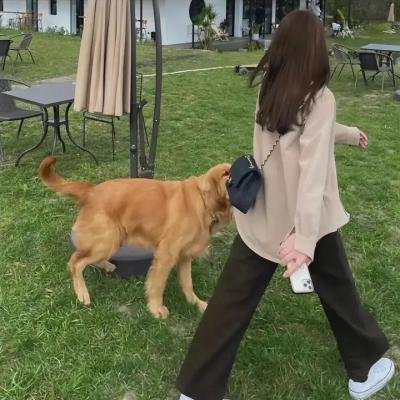 黑疯婆子闹监狱